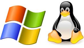 hosting linux y hosting windows